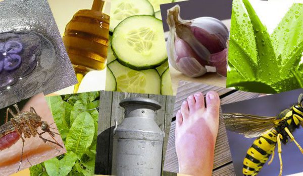 Summer Woes | 10 Natural Remedies