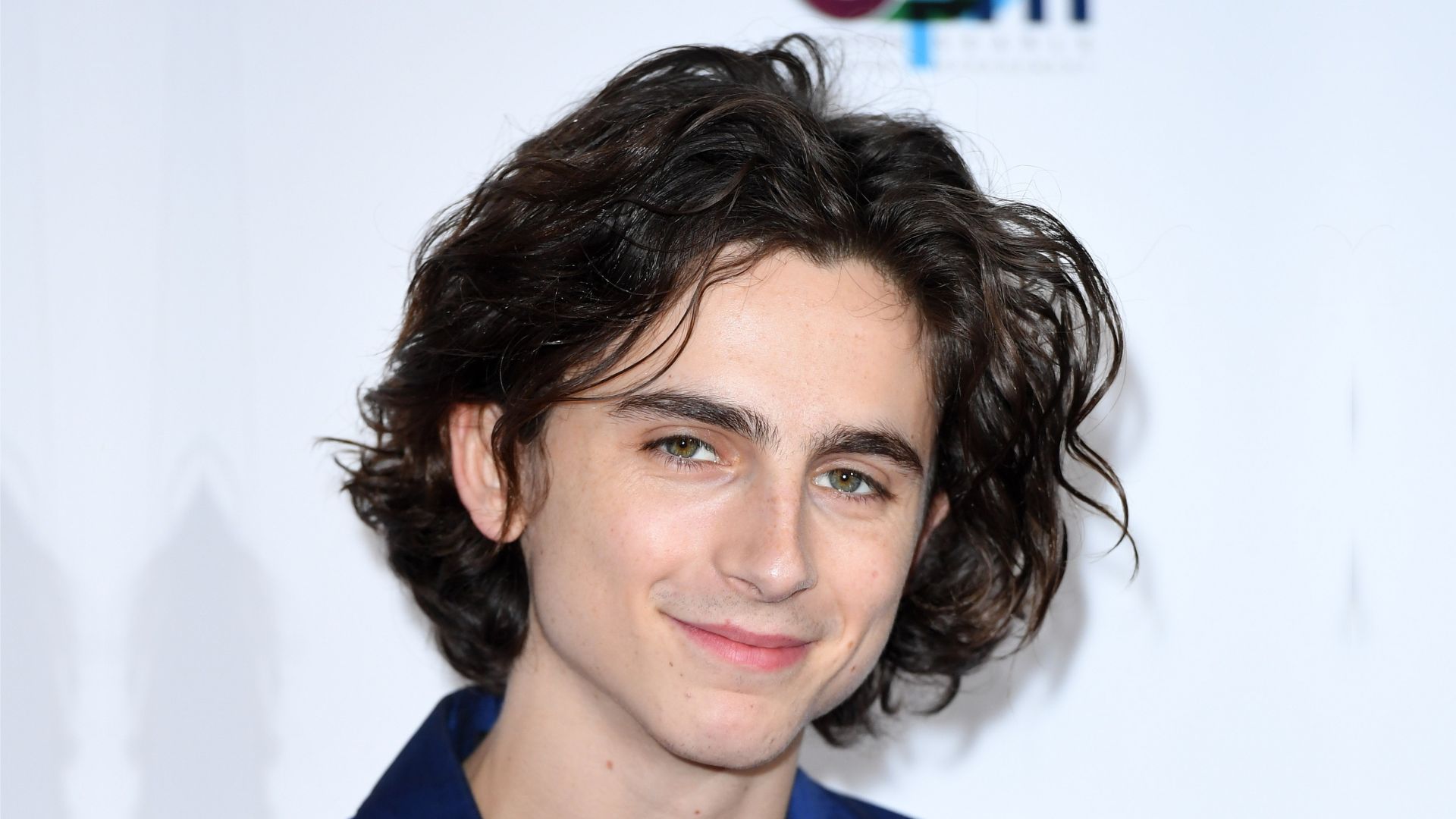 Timothée Chalamet's Top Hairstyles: Your Ultimate Guide