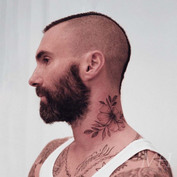 Adam deals levine haircut