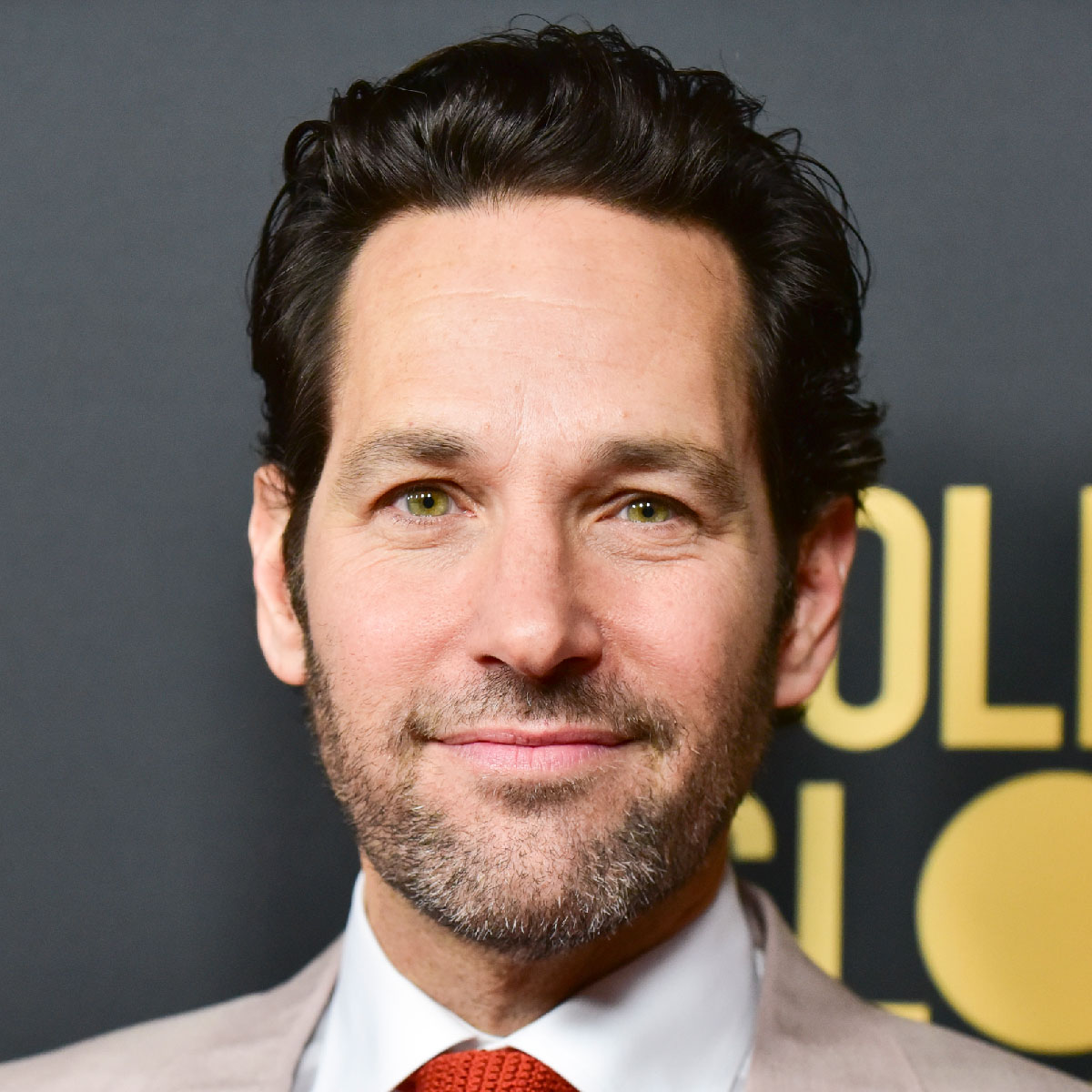Paul Rudd Curly Hair png icons in Paul Rudd SVG download | Free Icons and  PNG Backgrounds