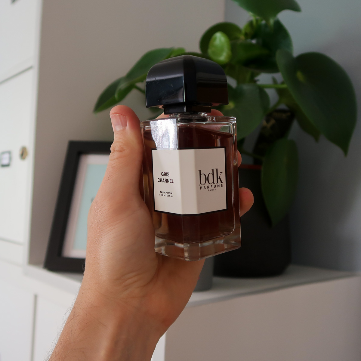 BDK Parfums Gris Charnel – Kafkaesque