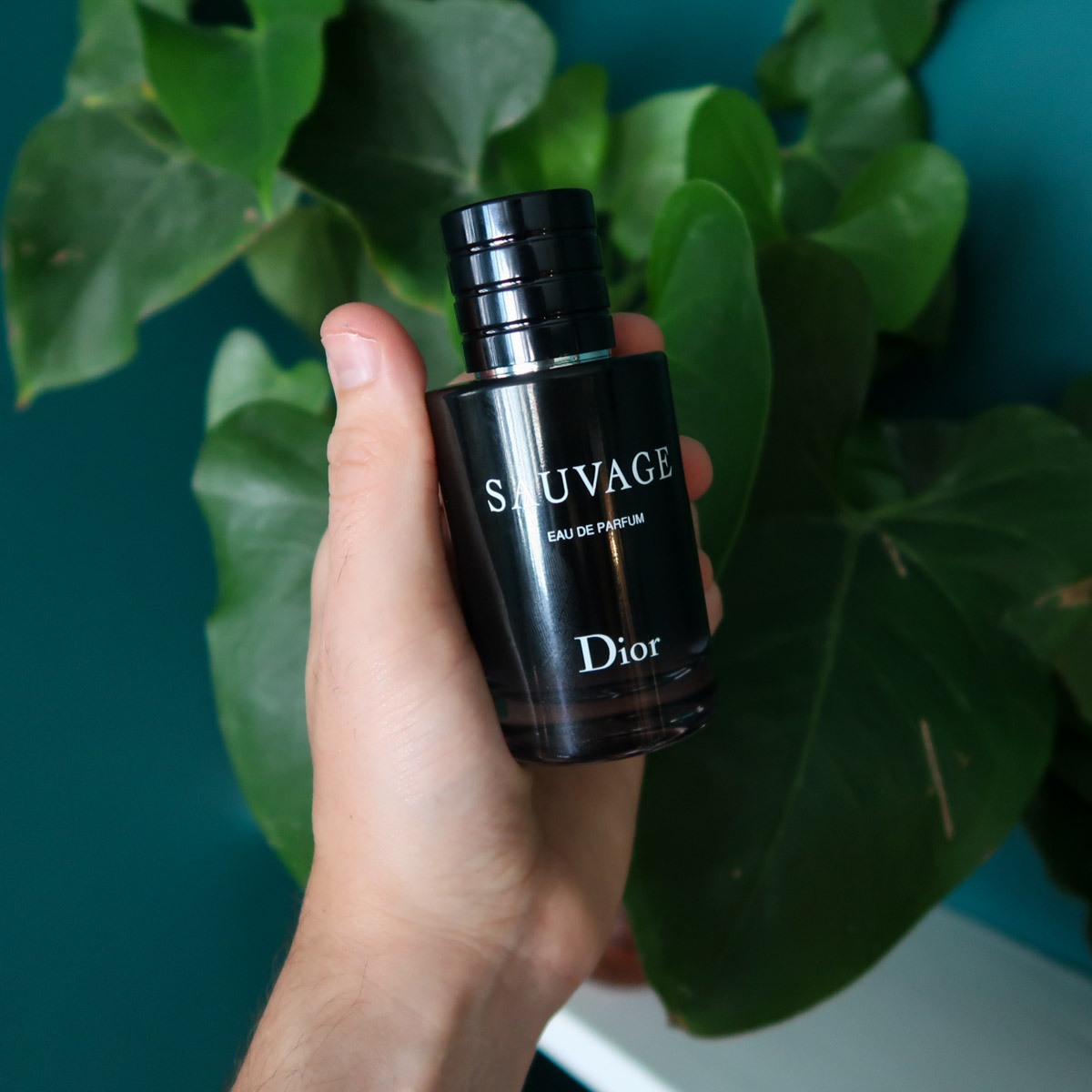 dior-sauvage-edp-review-man-for-himself