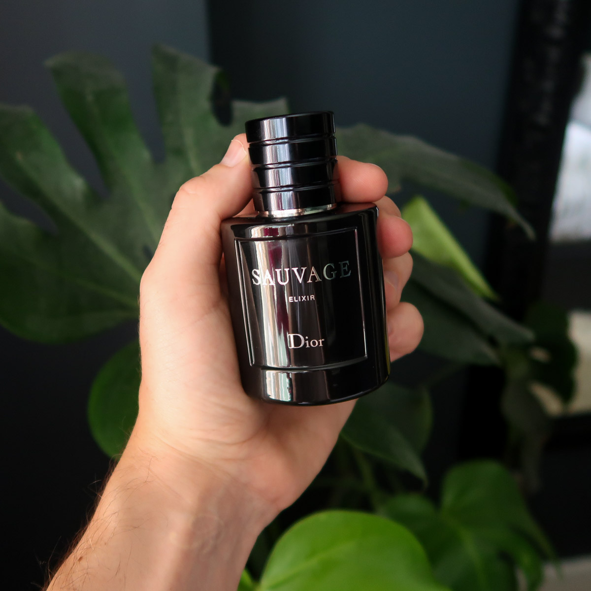 dior-sauvage-elixir-review-man-for-himself