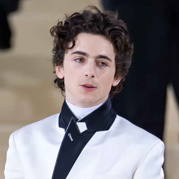 Timothée Chalamet: Curly Mini Mullet With Volume