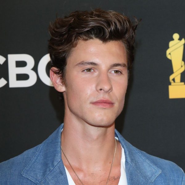 Shawn Mendes | Shawn mendes hair, Boys haircuts, Curly hair men