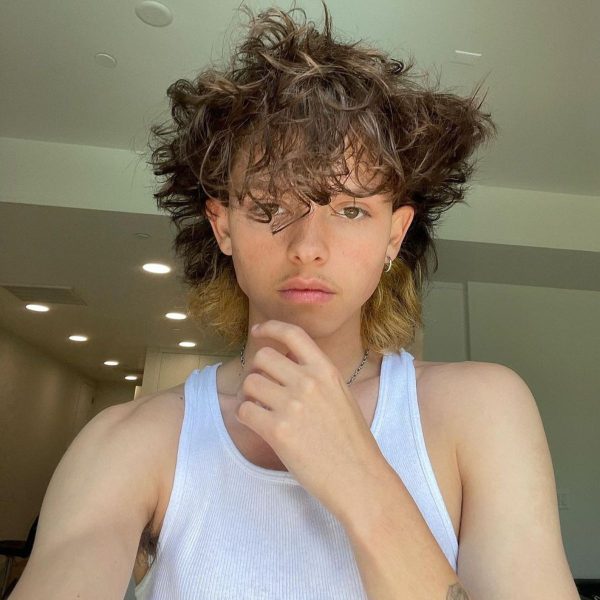 Brown Fluffy Messy Boy Hair